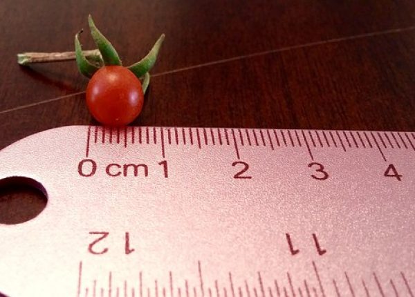1.6  תצפיות ואי-וודאות